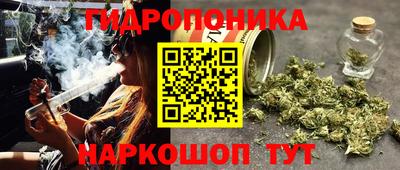 гидра Лесосибирск