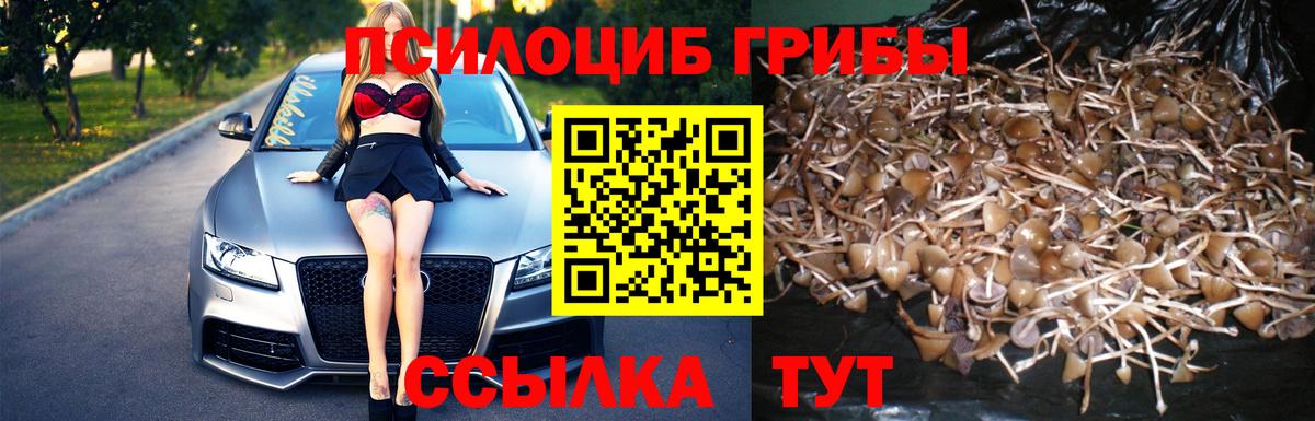 Псилоцибиновые грибы MAGIC MUSHROOMS  Вход с VPN  Сегежа 